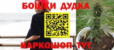 прущие крисы Славгород