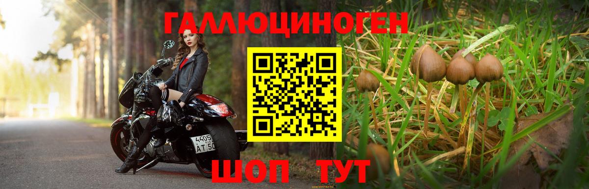 Псилоцибиновые грибы Magic Shrooms  Псилоцибиновые грибы мухоморы  Вход с VPN  Новодвинск 